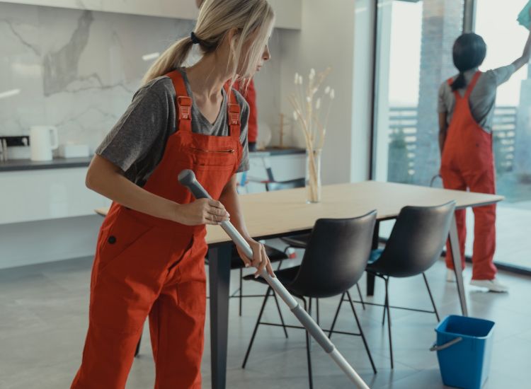 house cleaning services